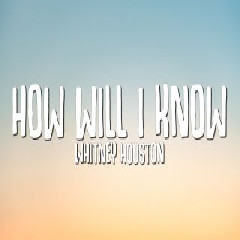 Whitney Houston - How Will I Know feat Clean Bandit