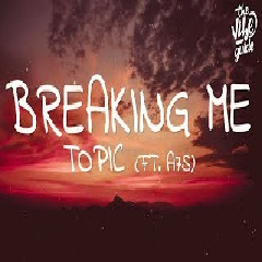Topic & A7S - Breaking Me