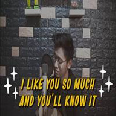 Arvian Dwi - I Like You So Much, You Ll Know It (English Cover)