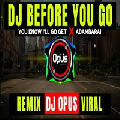 Dj Opus - Before You Go X You Know Ill Go Get X Adambarai