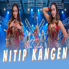 Download Lagu Niken Salindry - Nitip Kangen (Wis Pirang Bengi Ora Biso Turu).mp3 Terbaru