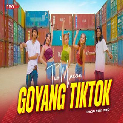 Download Lagu Trio Macan - Goyang TikTok.mp3 Terbaru